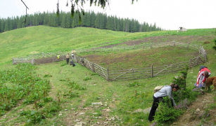 Іл.107. Полонина Веснарка
