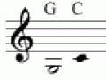23_Pygmy 23_Pygmy